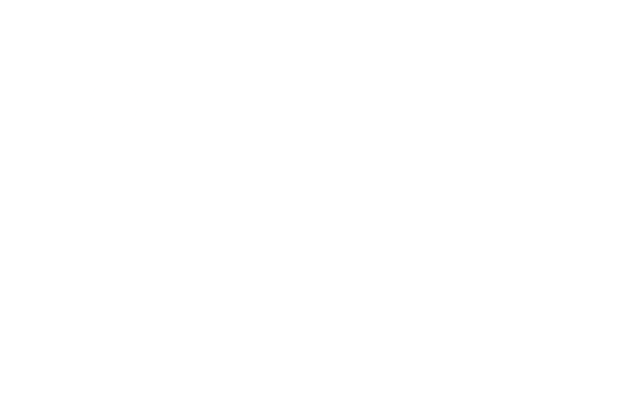 DL Amling